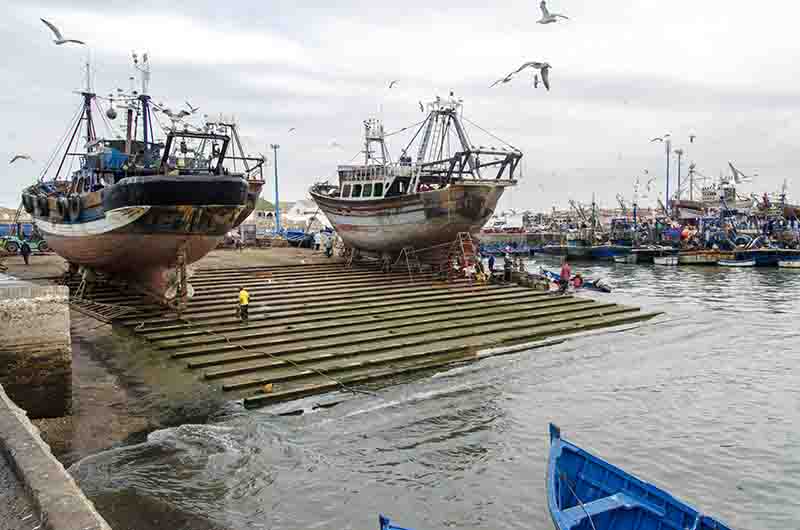 282 - Marruecos - Essaouira - puerto pesquero
